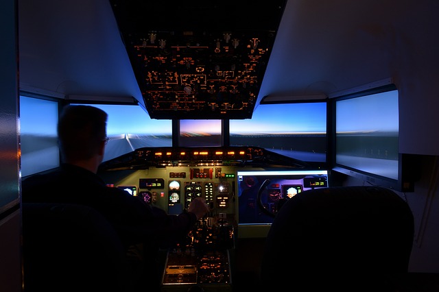 Simulateur de vol
