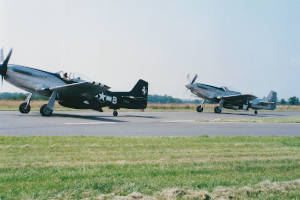 P-51 Mustang 1993